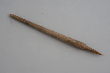 Stylo (os)